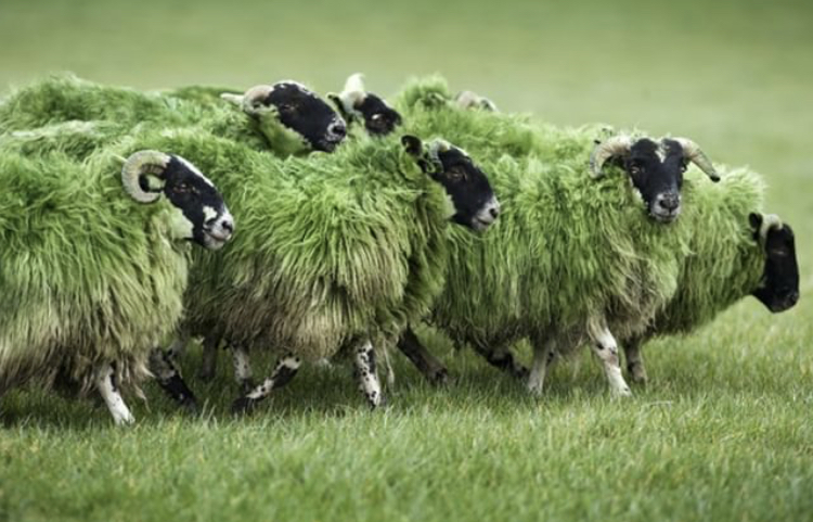 3D1CD76D-5FDB-4DE7-ABD6-E9185FCCF02E