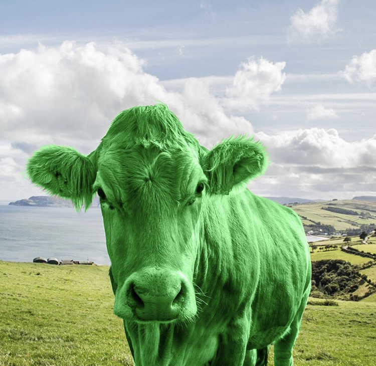 7353BC27-AB32-416C-A64E-350CA6665AB9